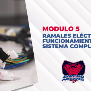 Módulo 5: Ramales Eléctricos y Funcionamiento del Sistema Completo